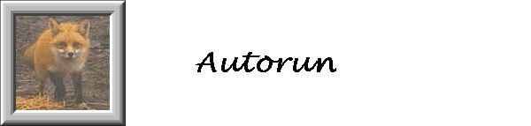 Autorun